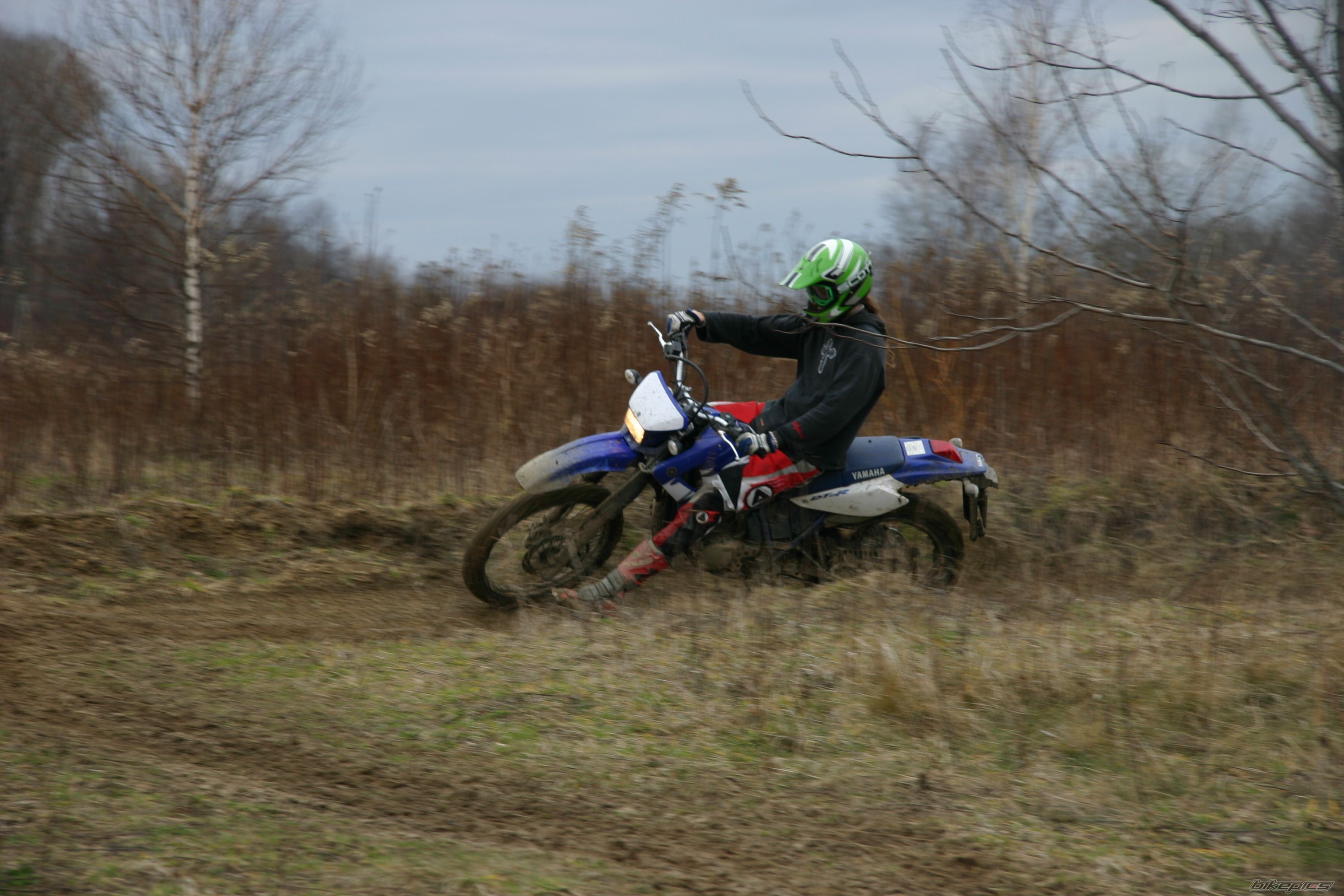Photo 818068