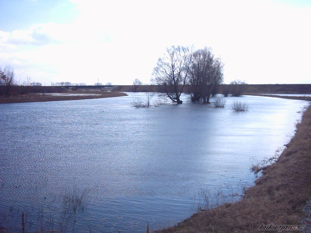 Photo 818425
