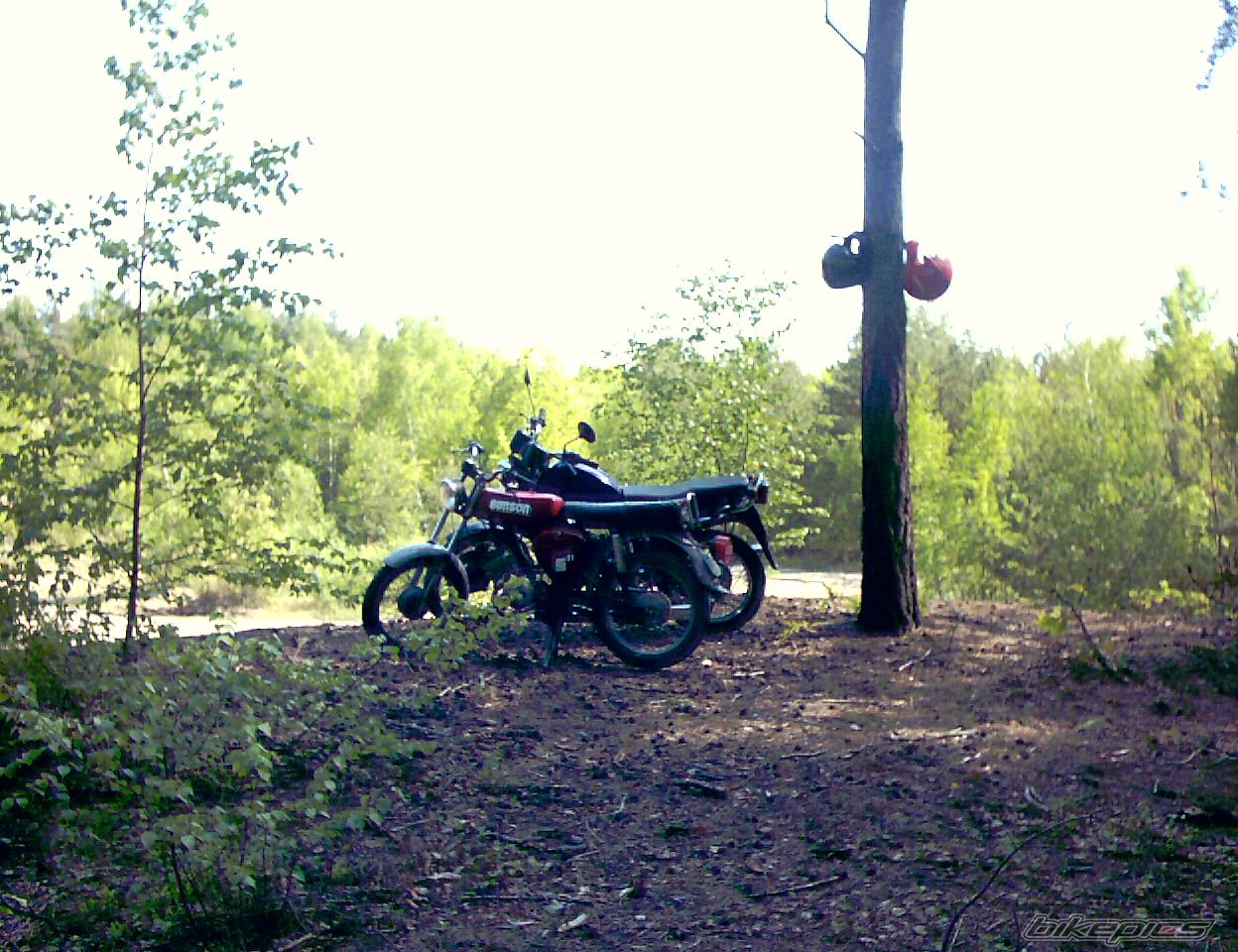 Photo 818456