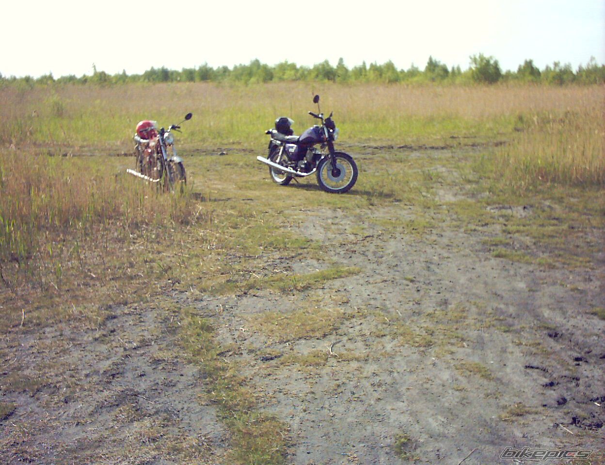 Photo 818464