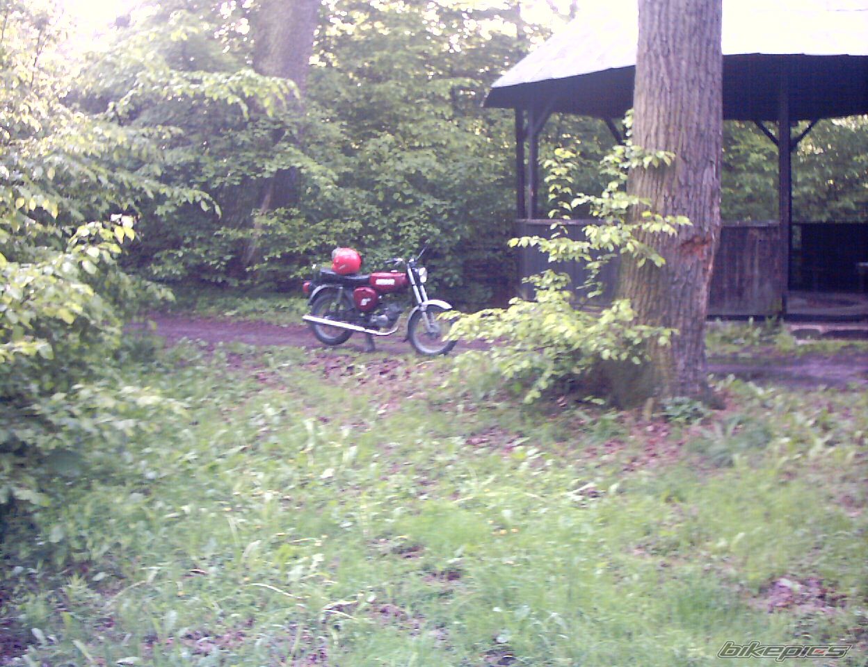 Photo 818484