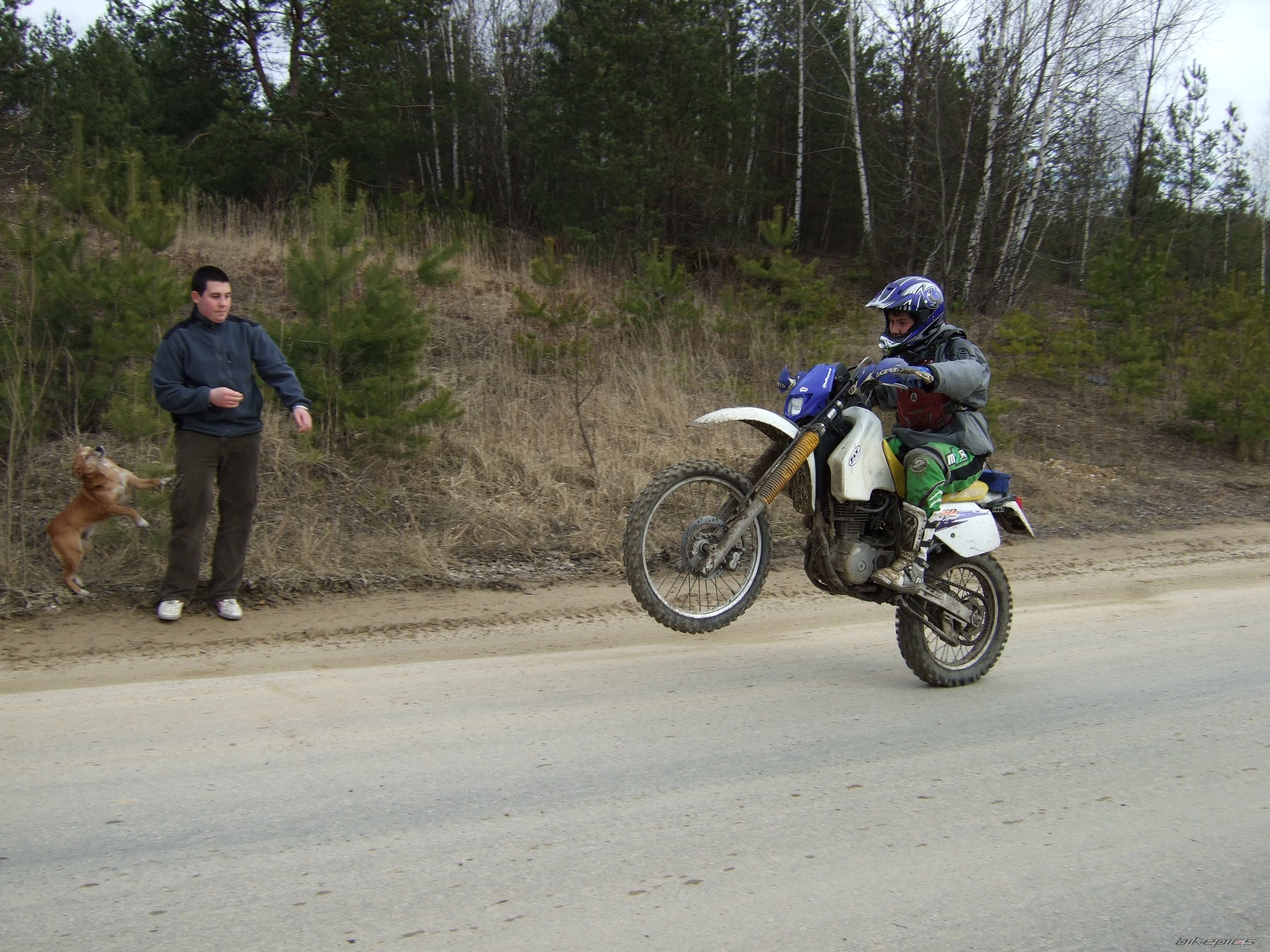 Photo 818621