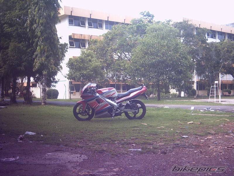 Photo 81949