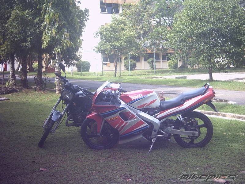 Photo 81950