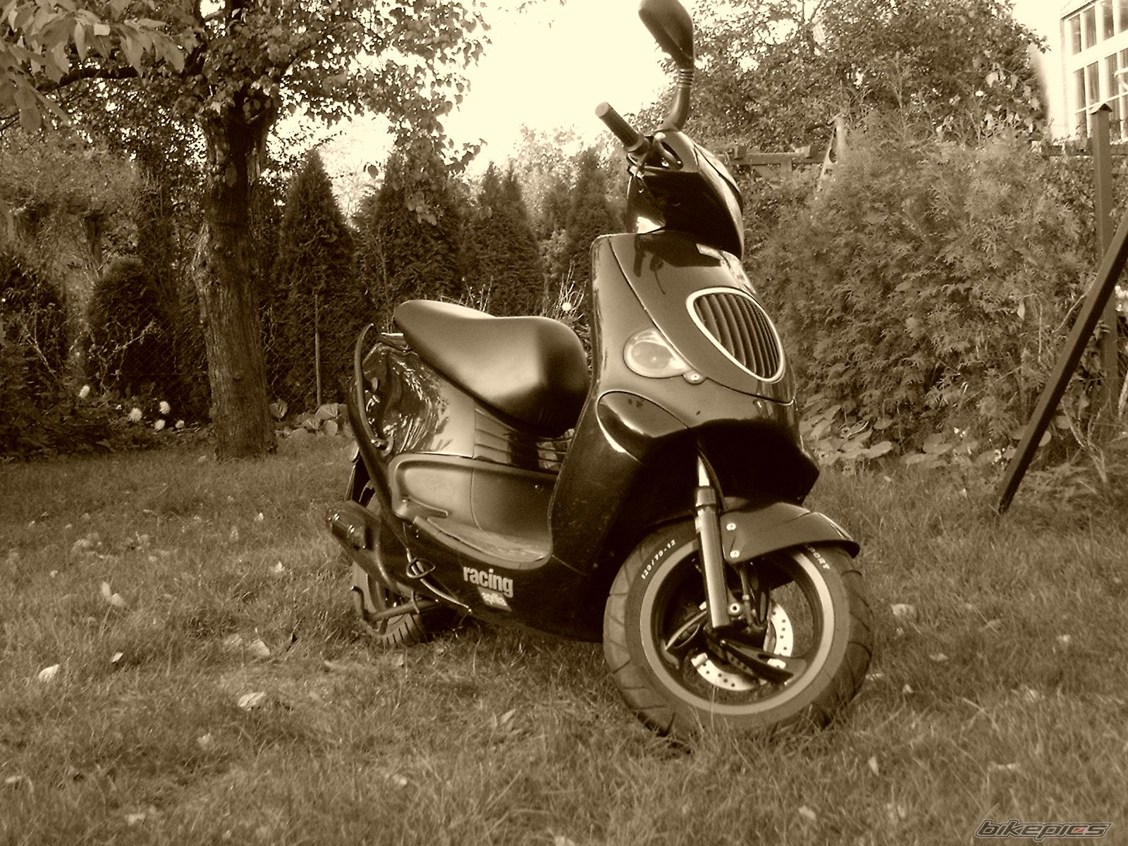 Photo 819593