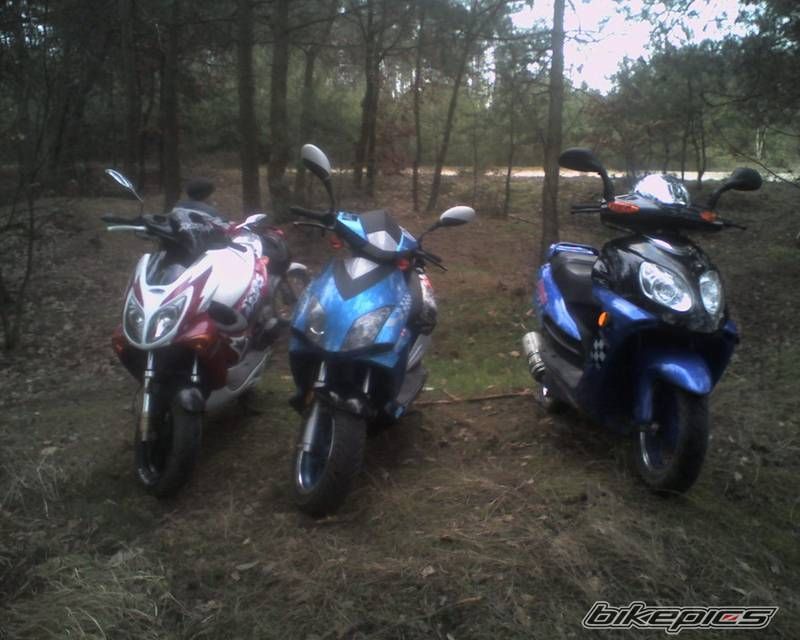 Photo 819614