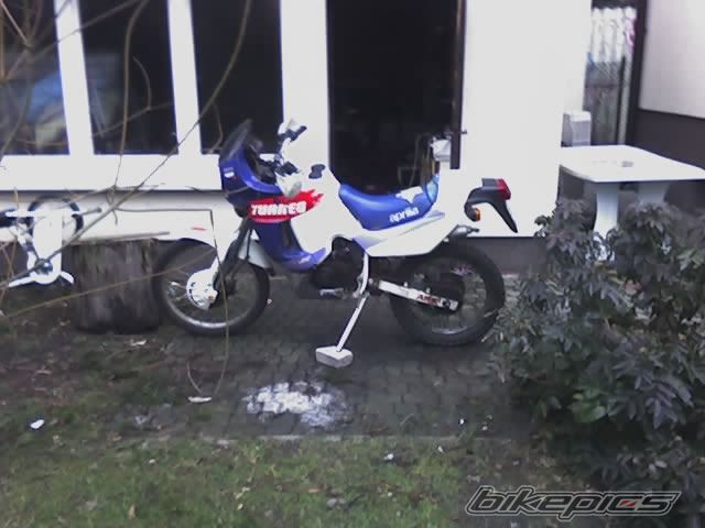Photo 819819