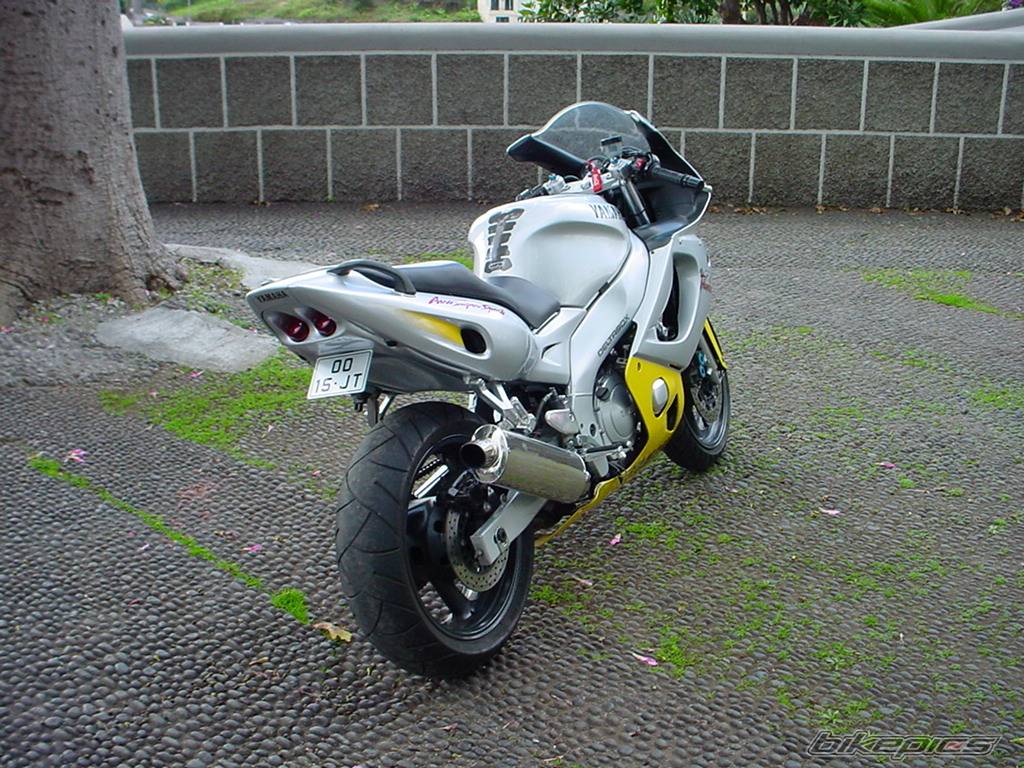Photo 81987