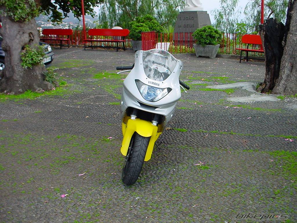 Photo 81992
