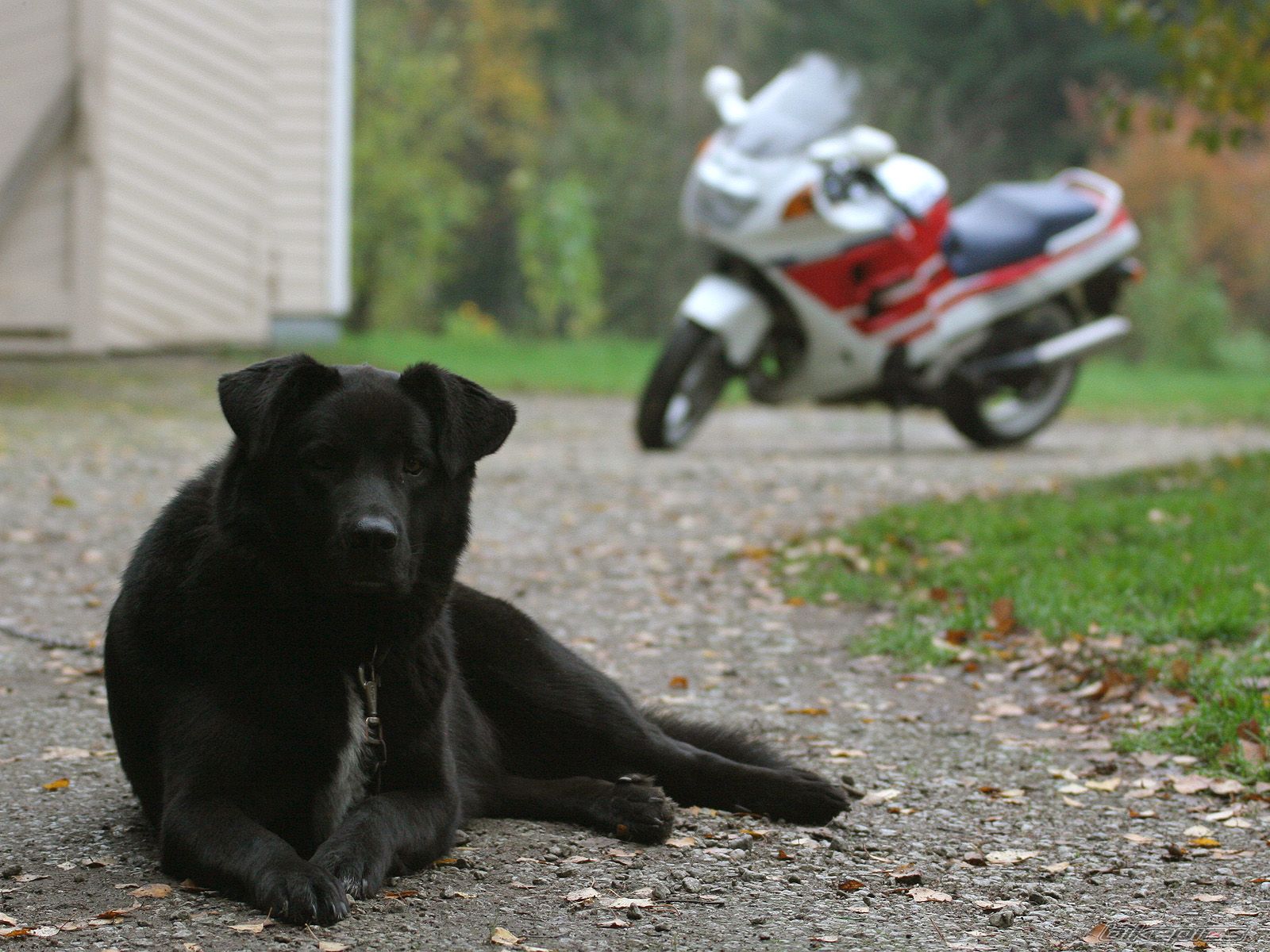 Bike Photo 820018