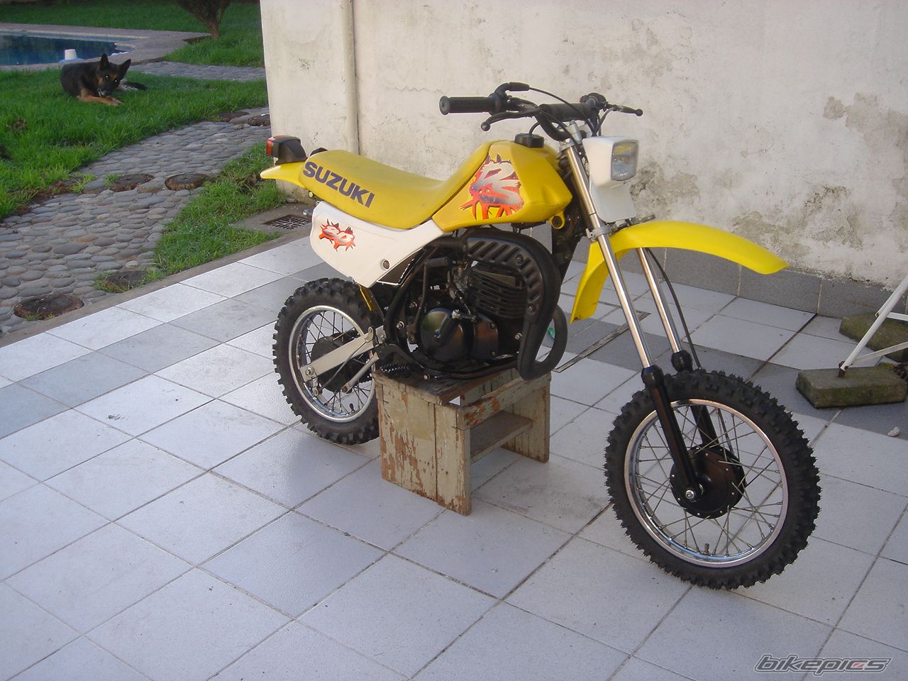 Photo 820053