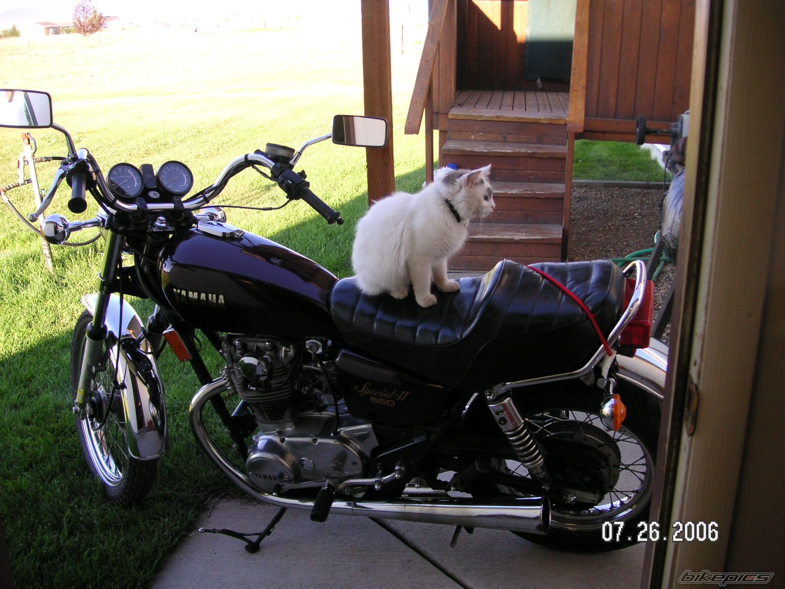 Photo 820230