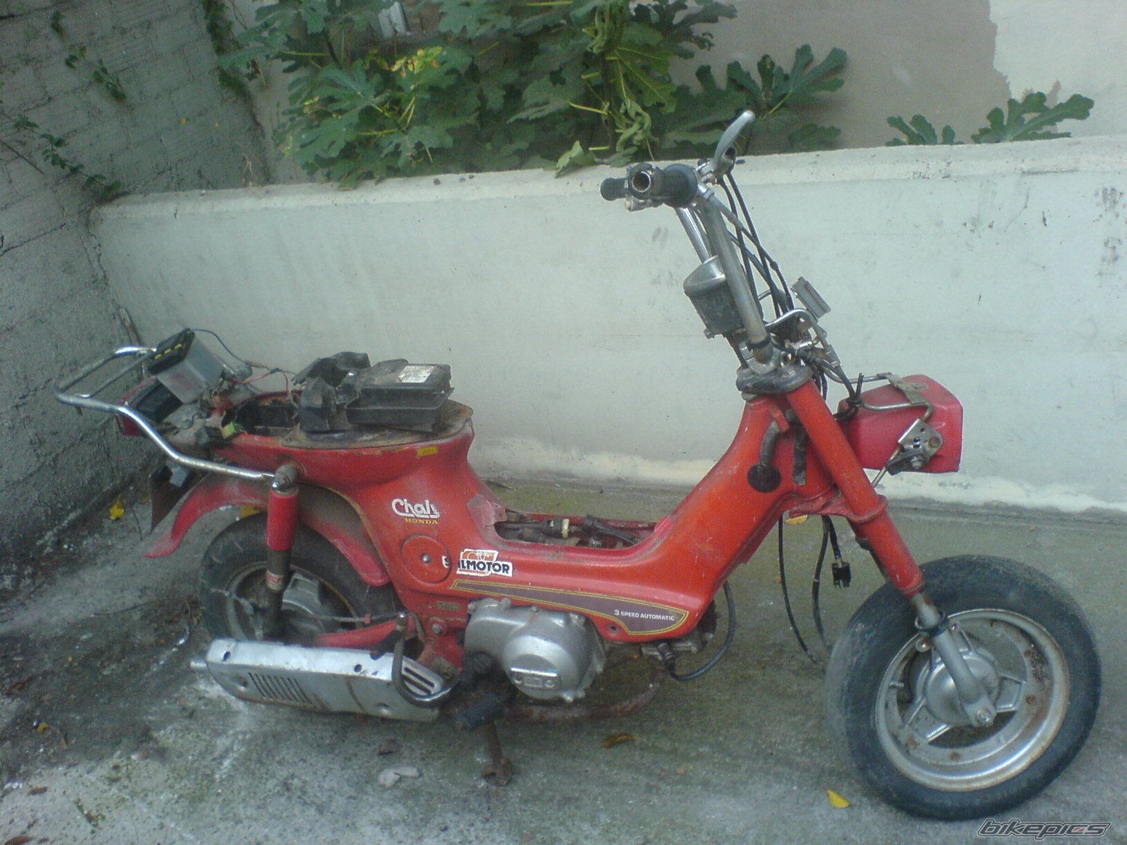 Photo 820630