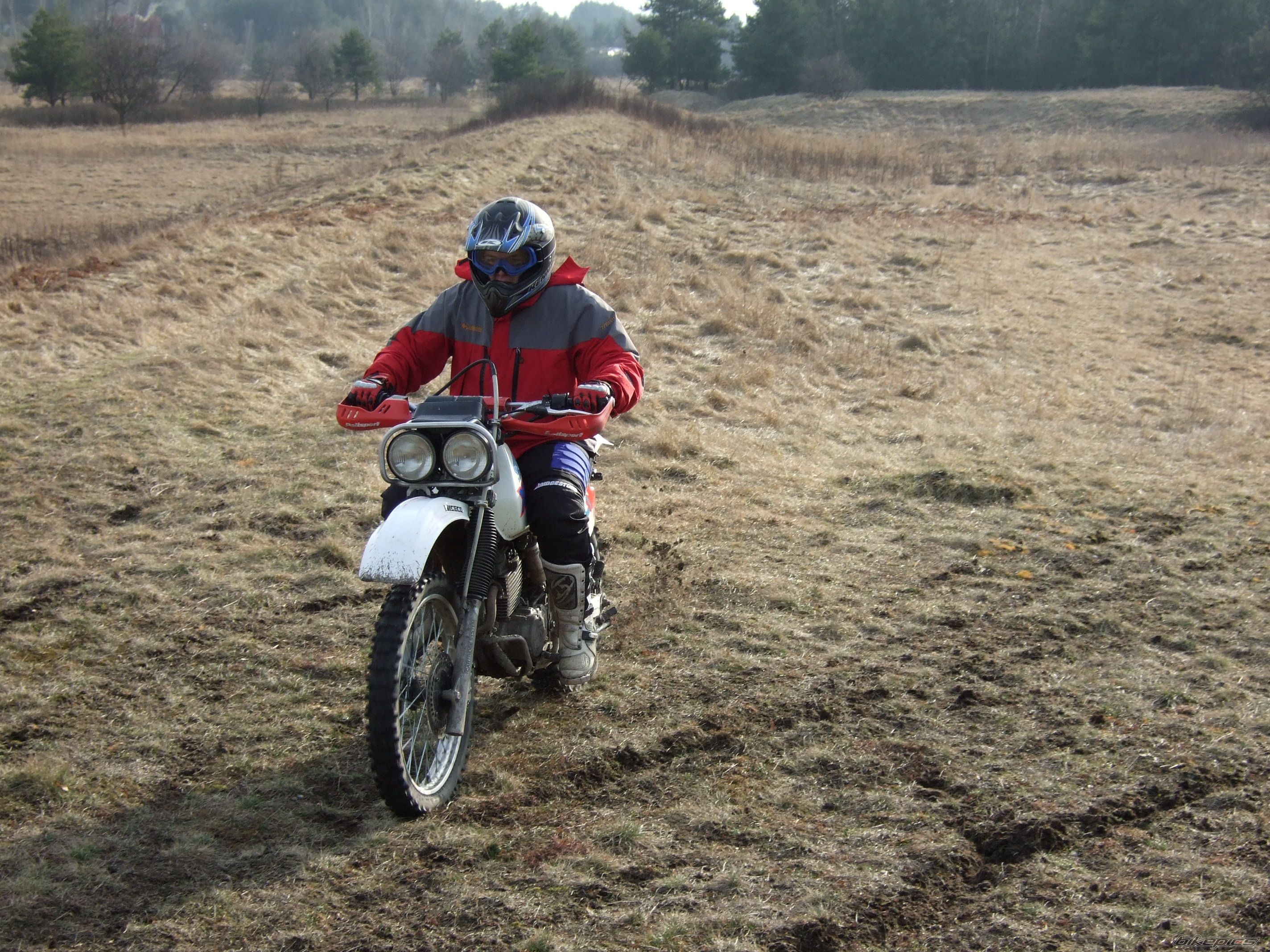 Photo 820811
