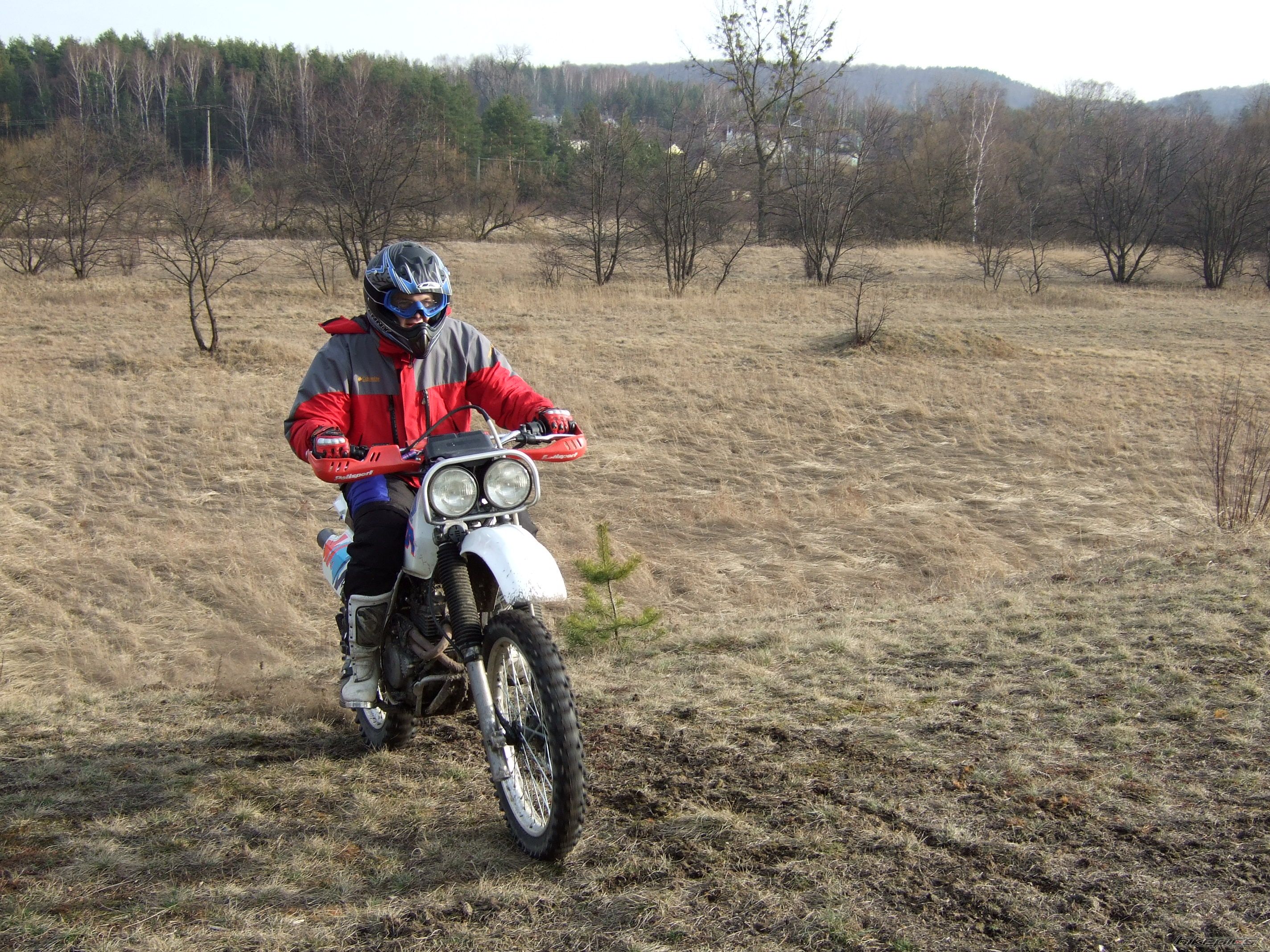 Photo 820814