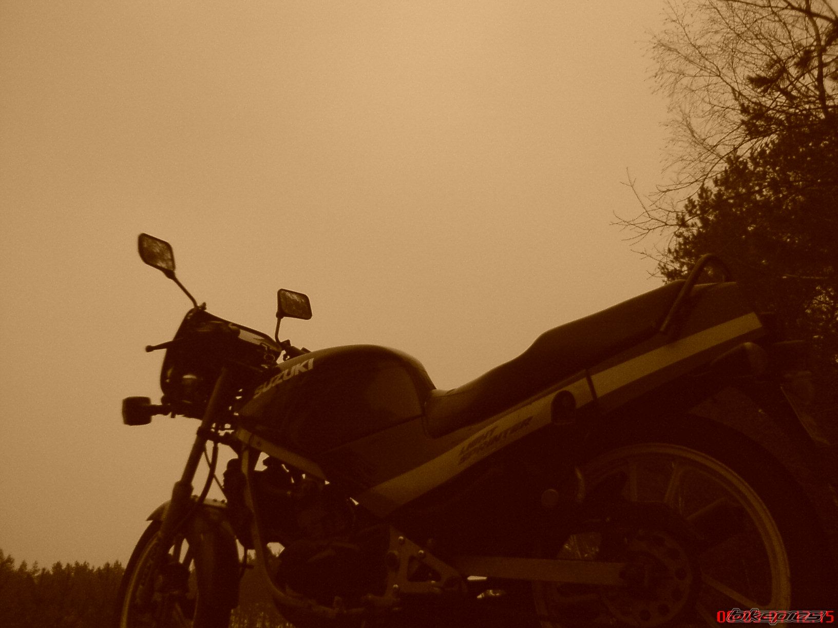 Photo 821461