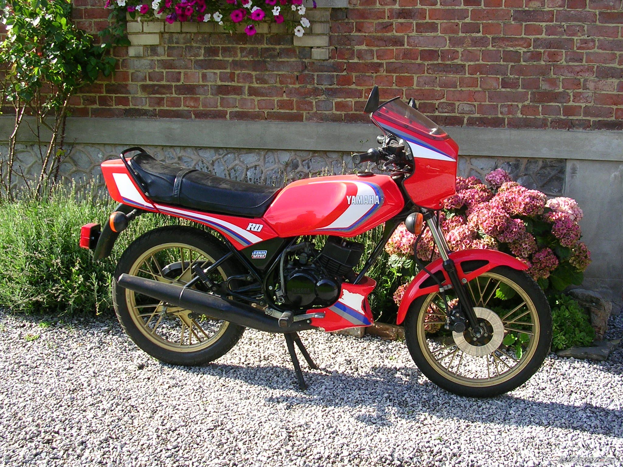 Bike Photo 821670