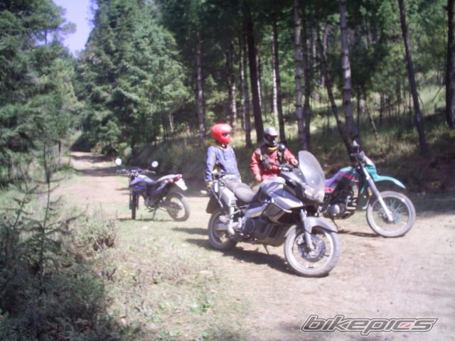 Photo 821952