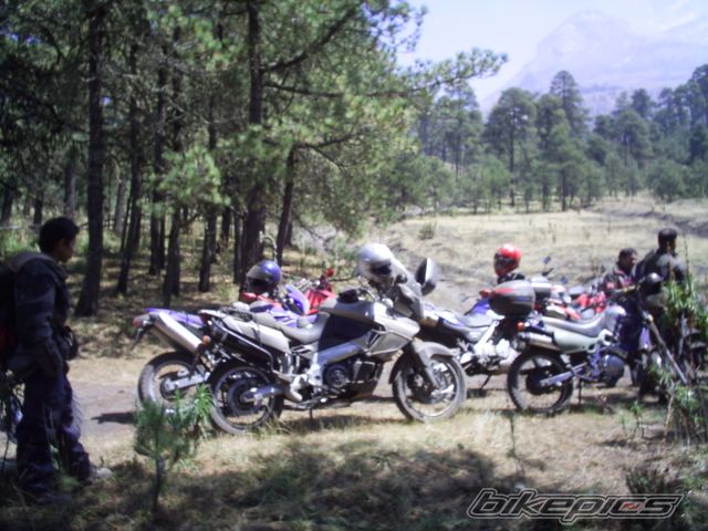 Photo 821960