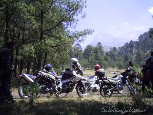 Photo 821962