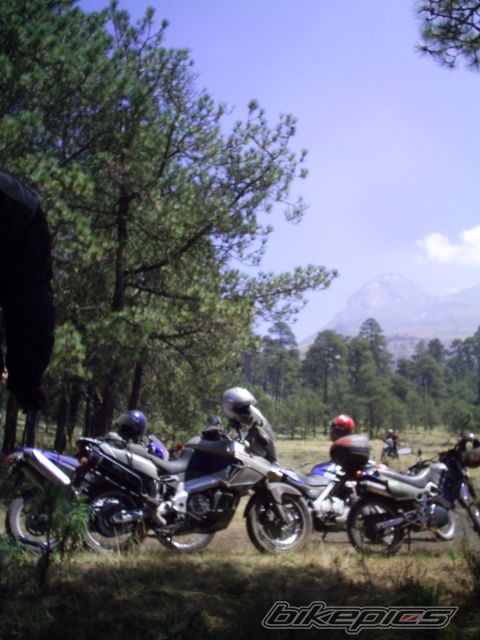 Photo 821963