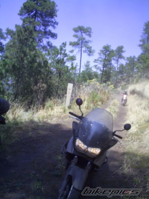 Photo 821971