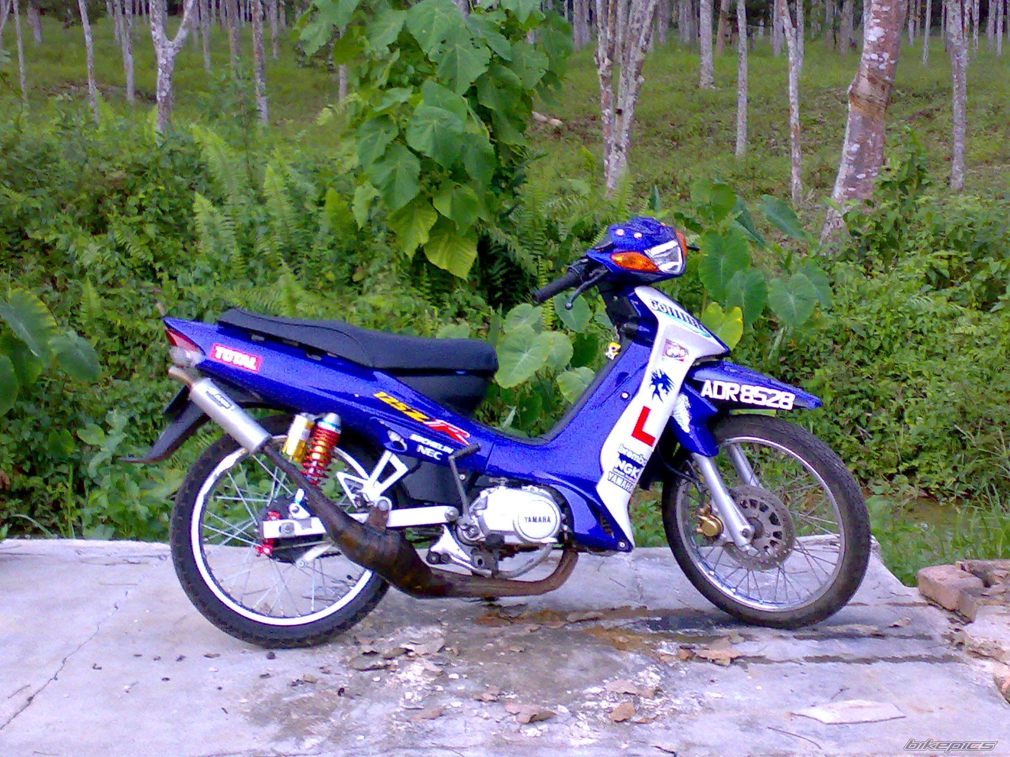 Photo 822263