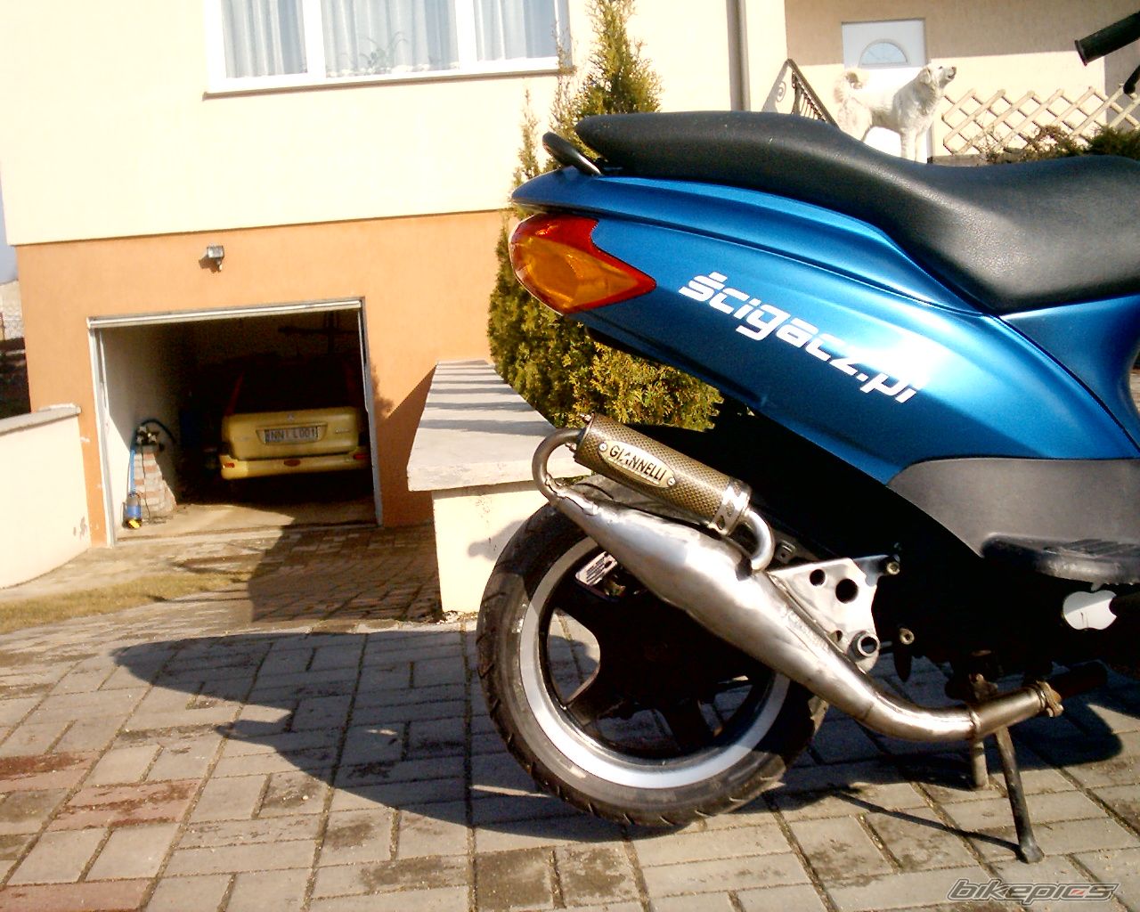 Photo 822343