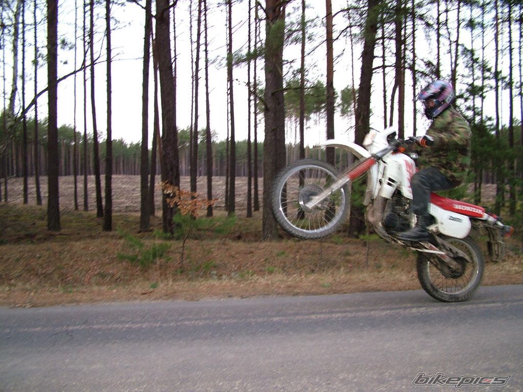 Bike Photo 822366
