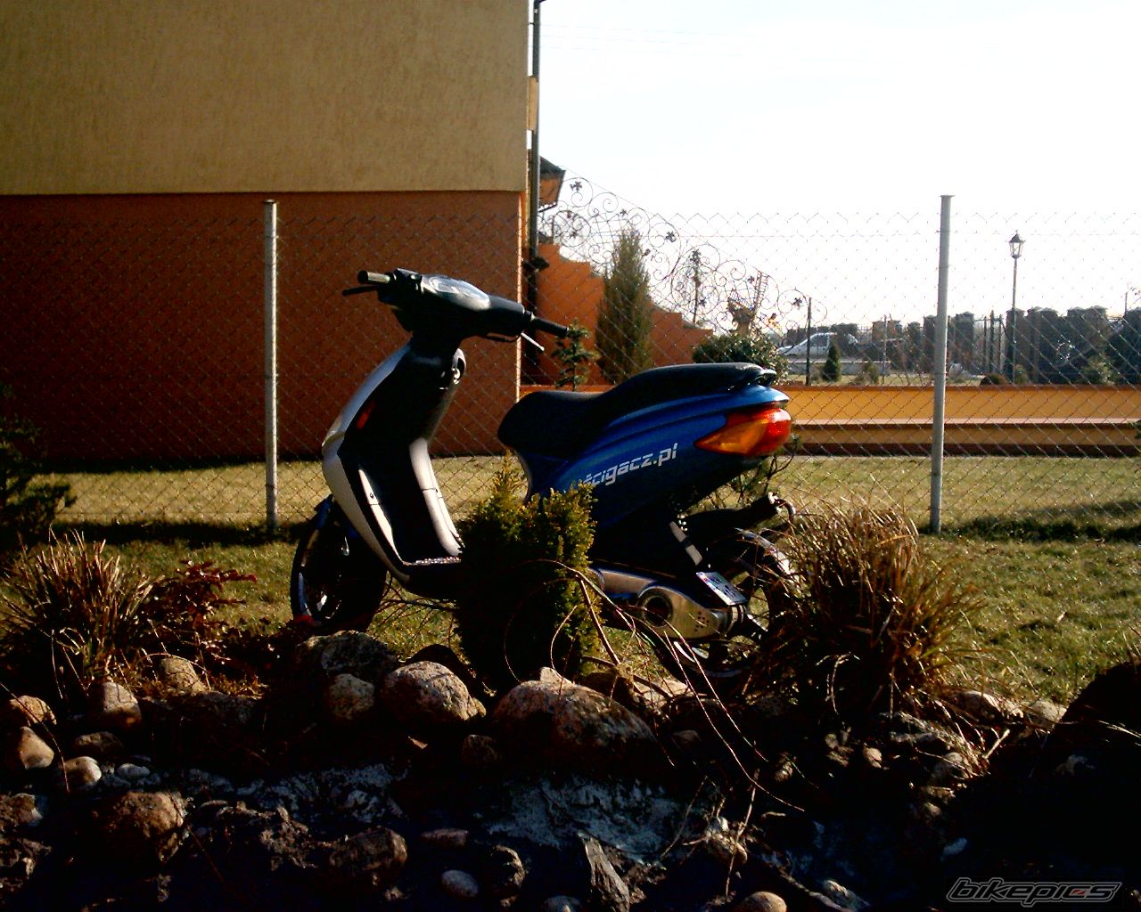 Photo 822397