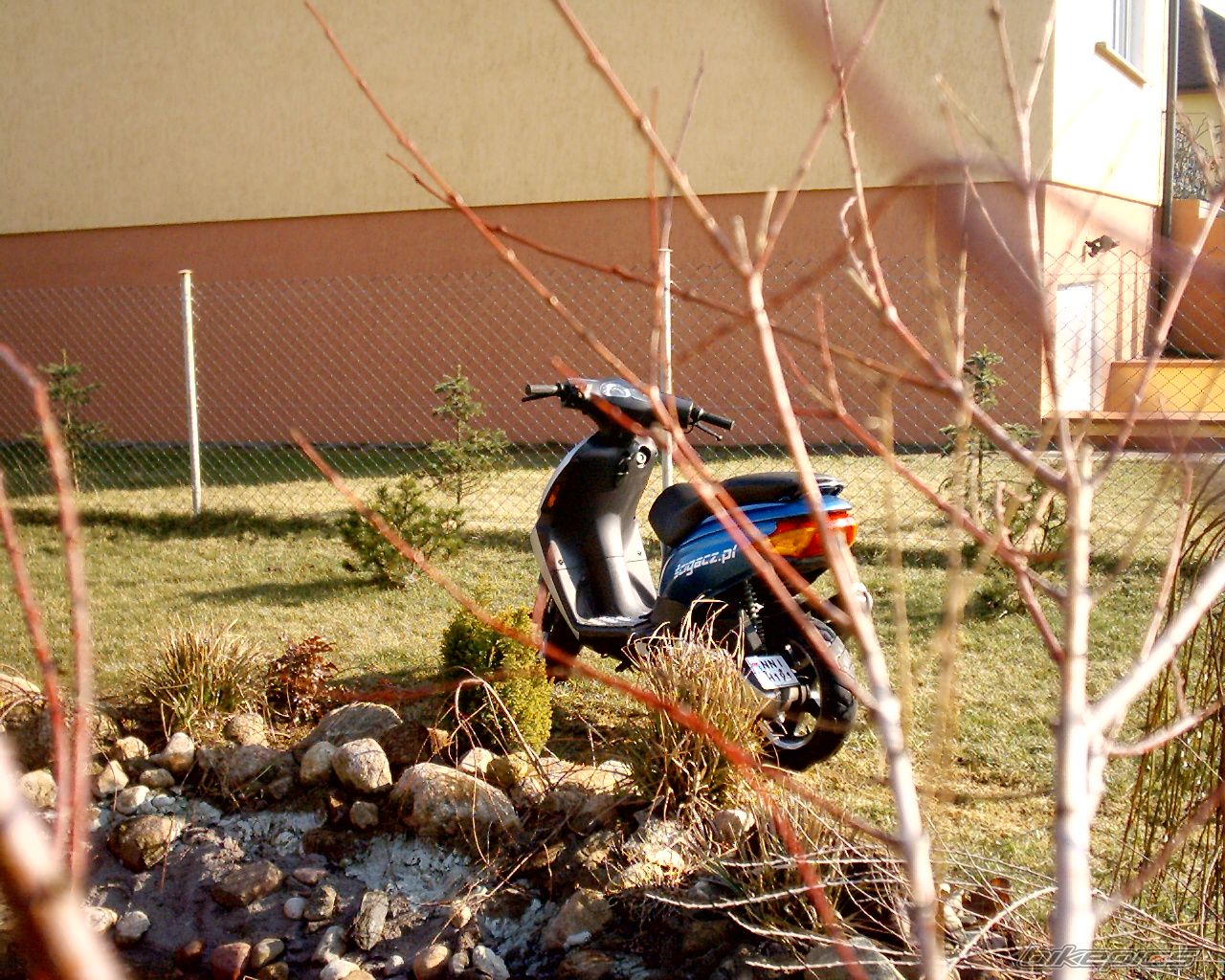 Photo 822402