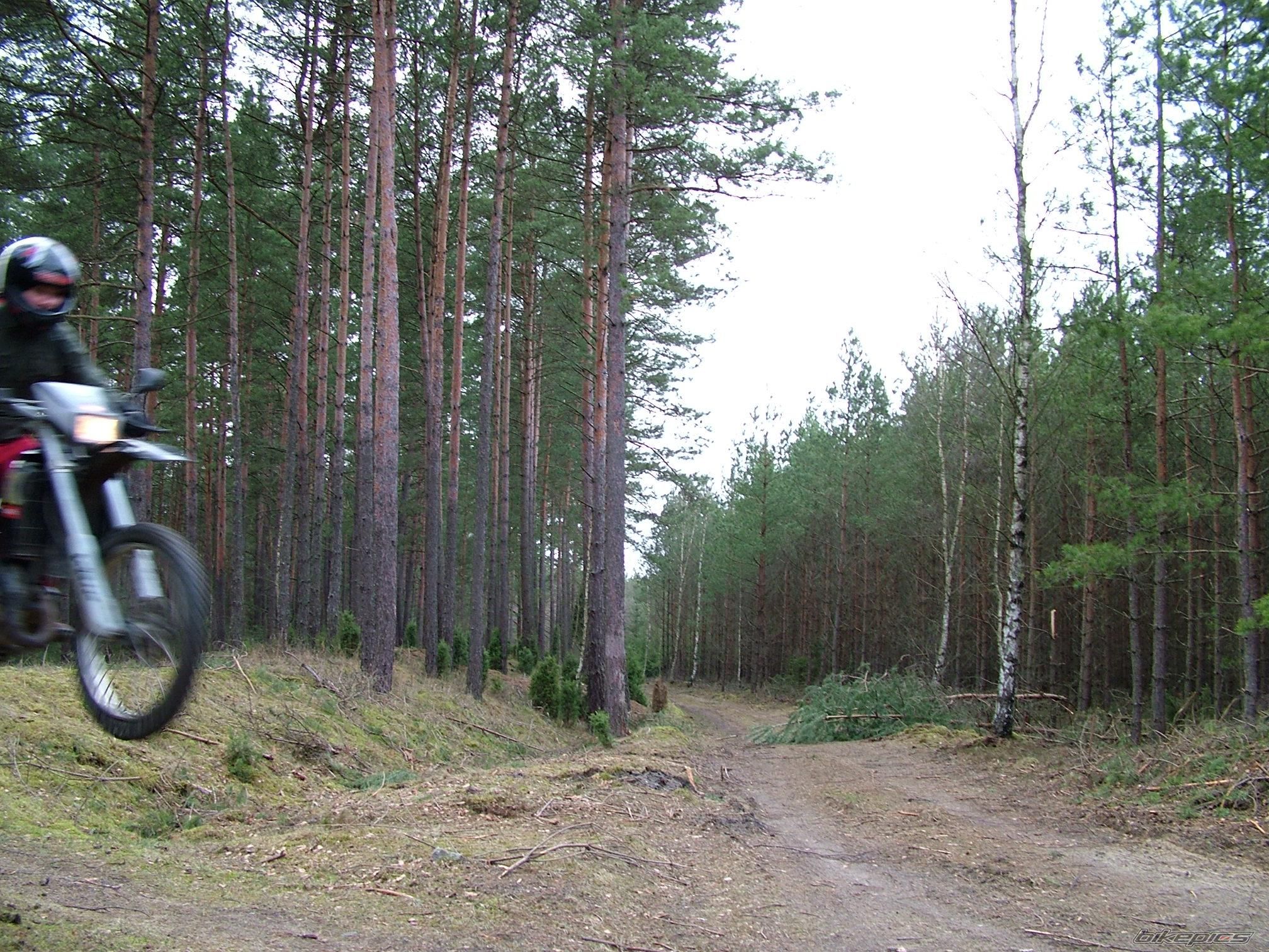 Photo 822742