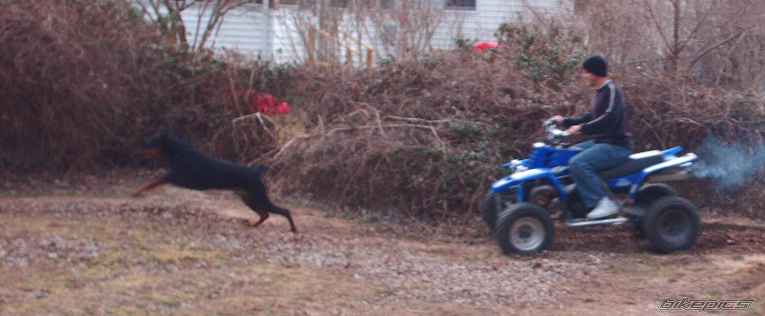 Photo 822841
