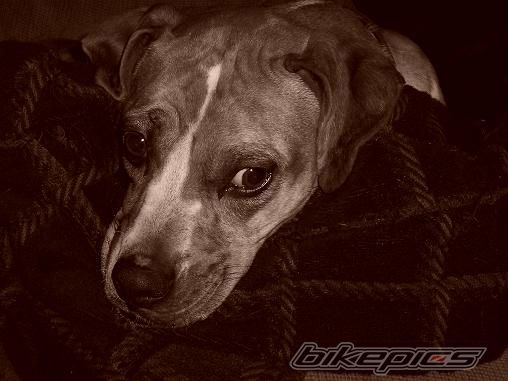 Photo 822886