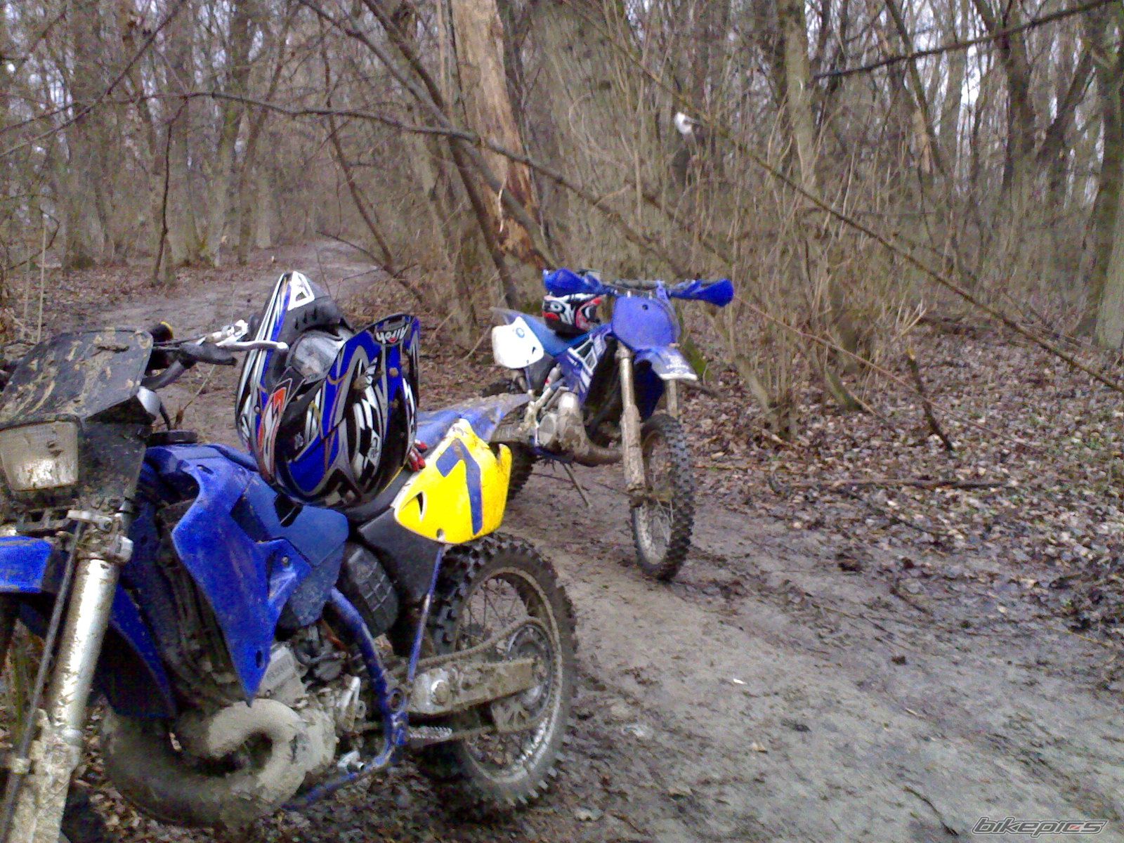 Photo 822977