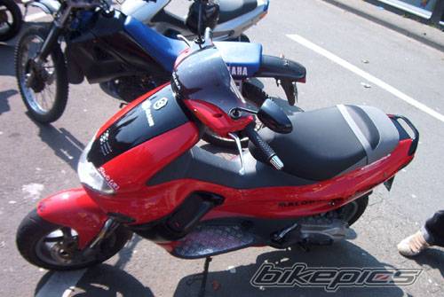 Photo 82339