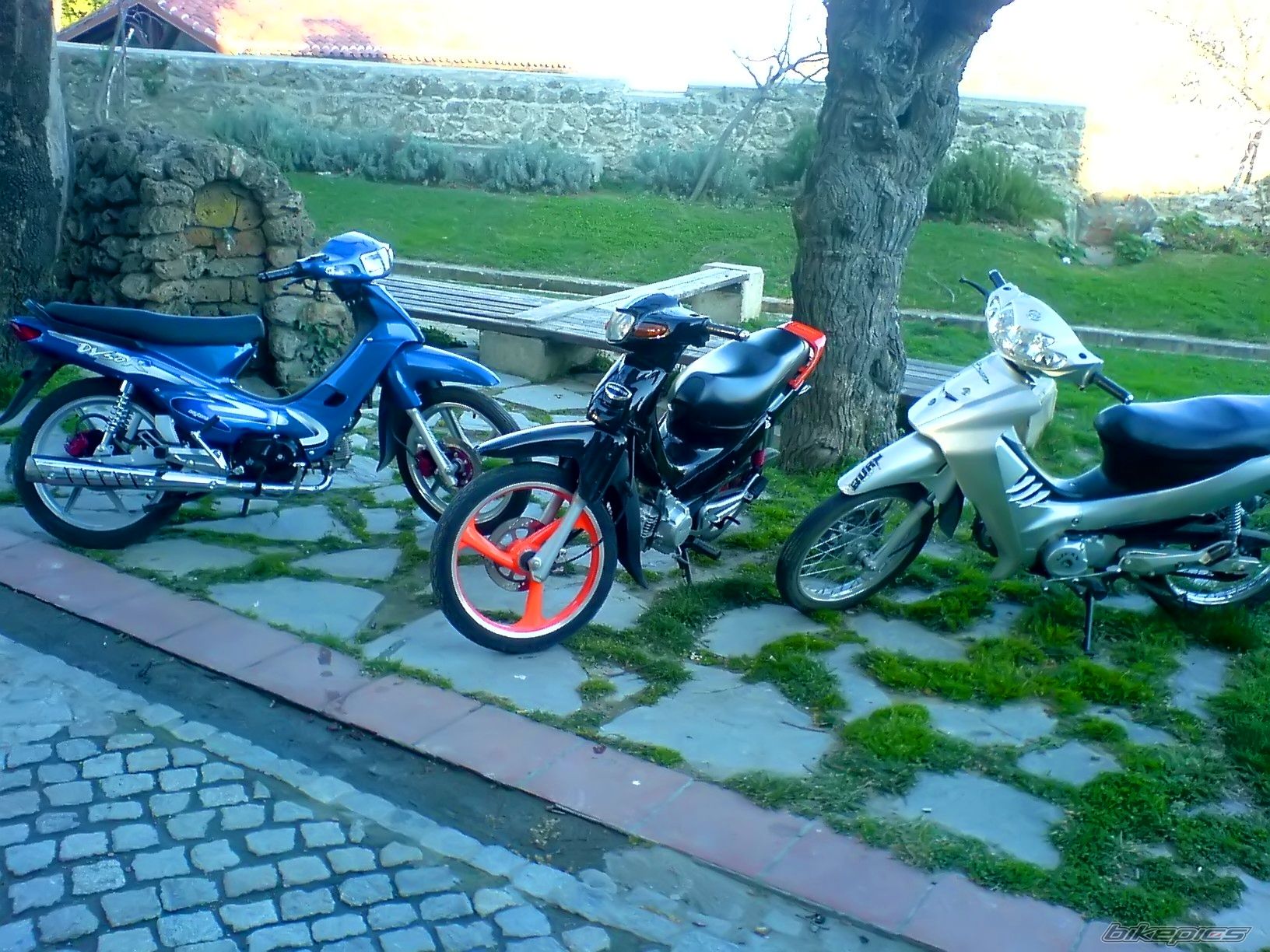 Photo 823583