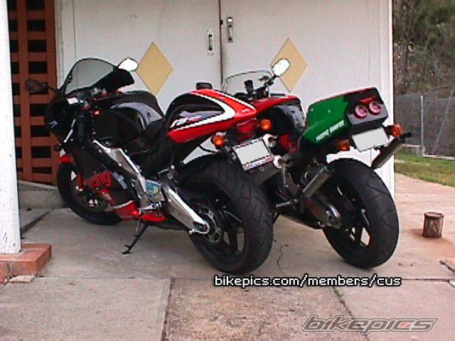 Photo 8238