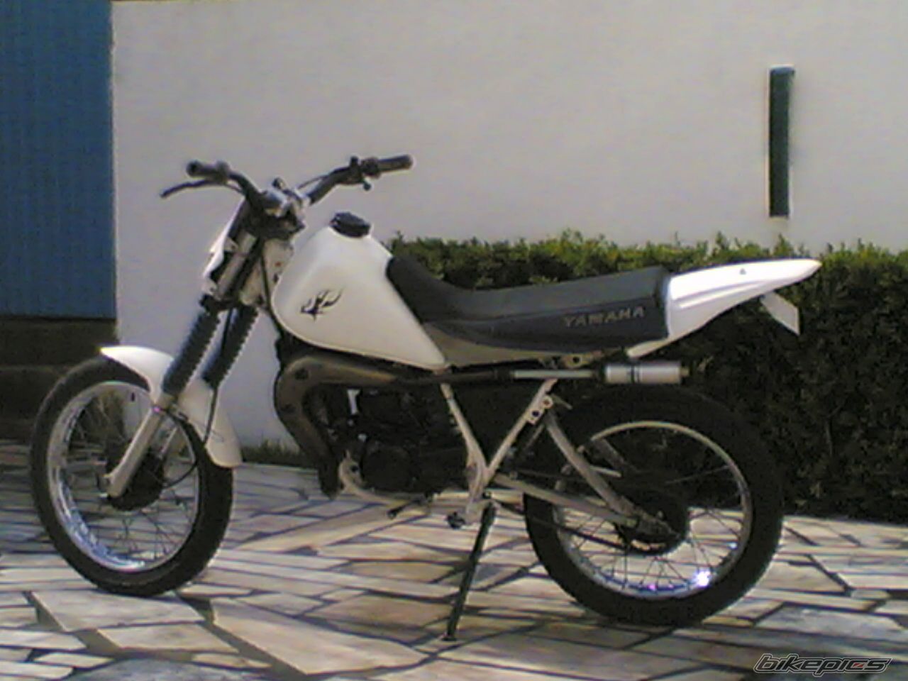 Liberty 50