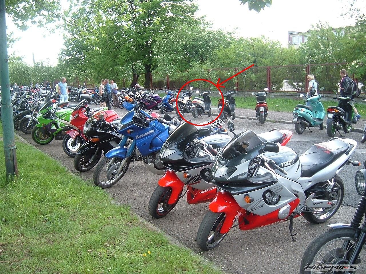 Photo 824203