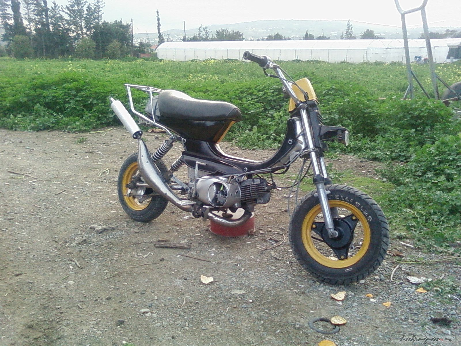Photo 824426