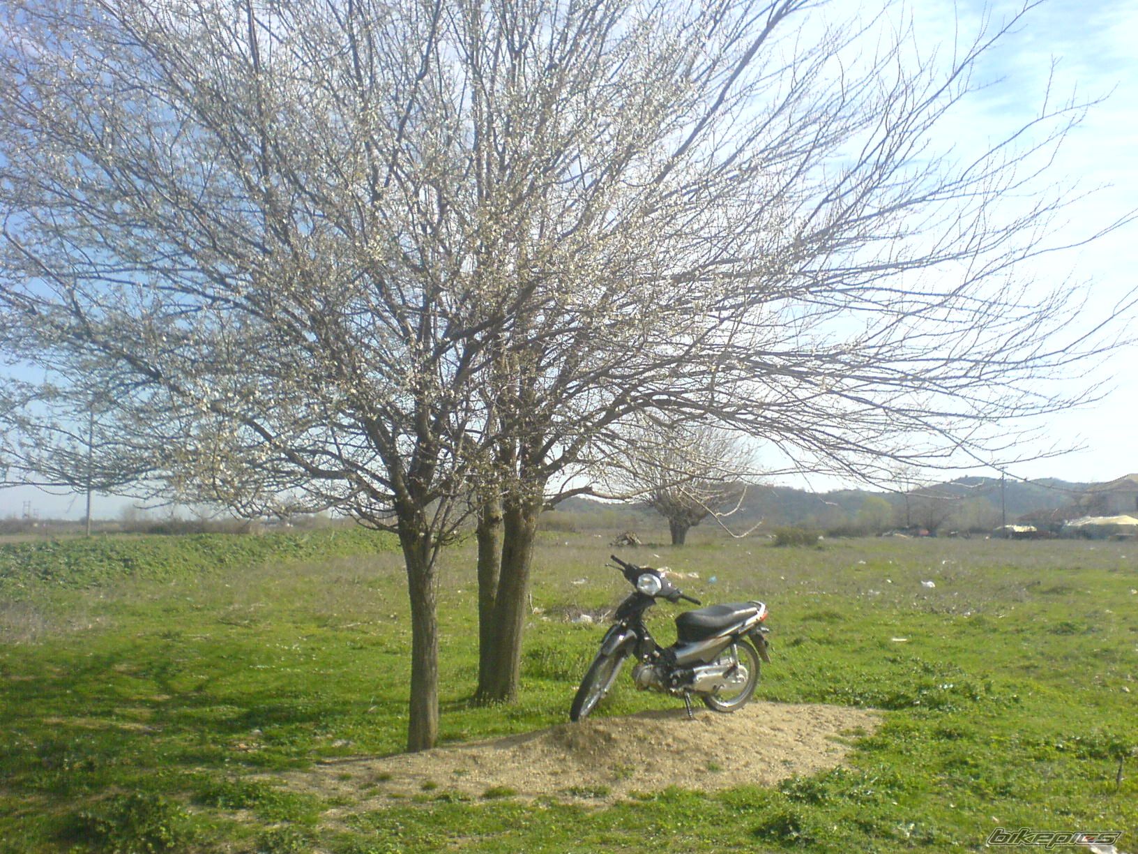 Photo 824687