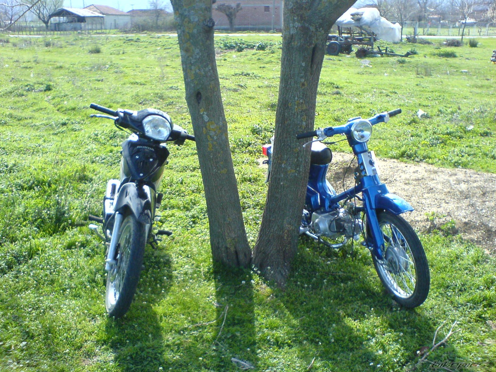 Photo 824692