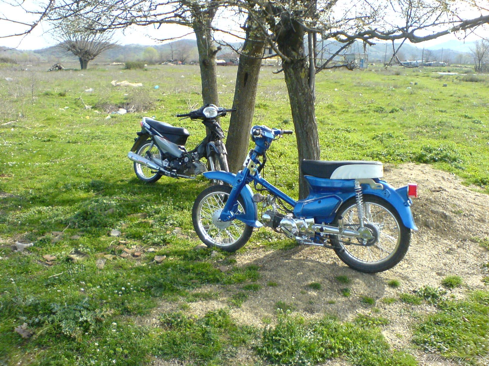 Photo 824694