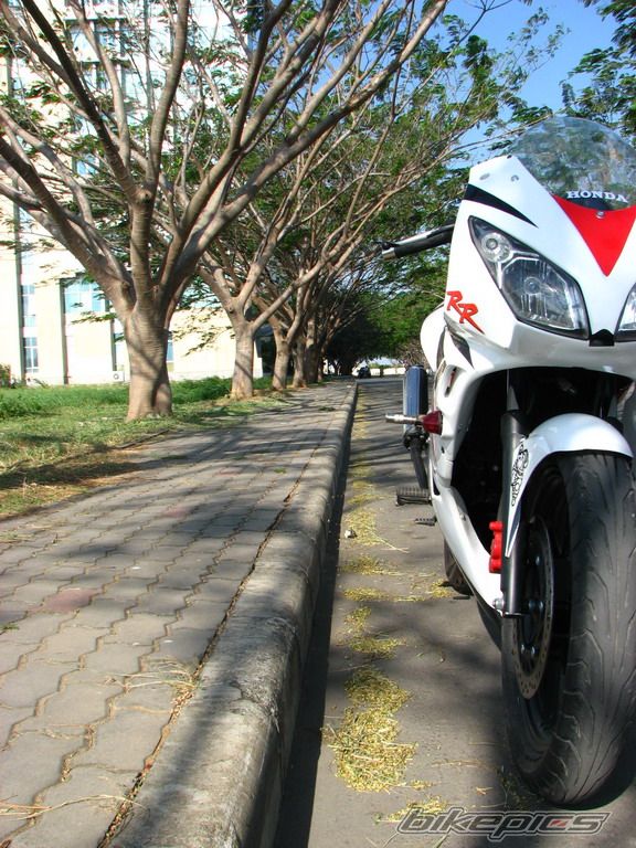 Bike Photo 824809