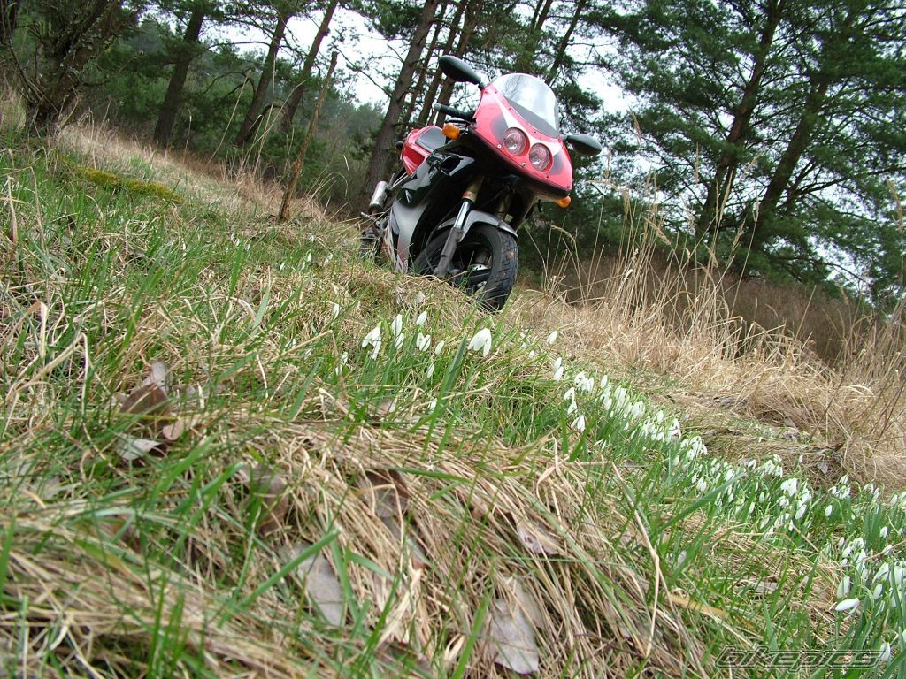 Bike Photo 826317