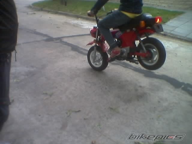 Photo 826418