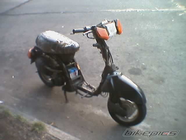 Photo 826420