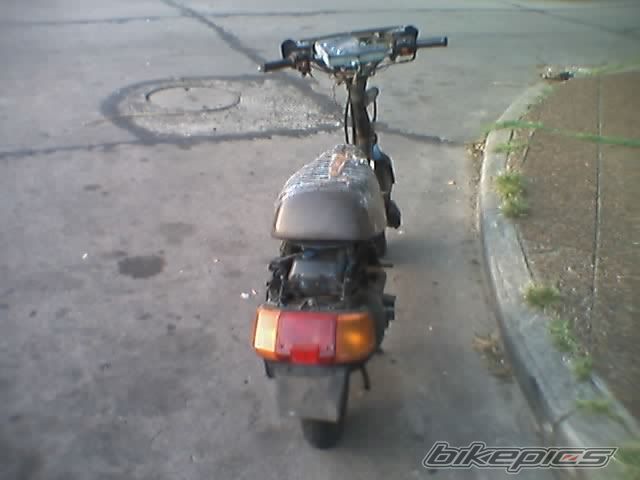 Photo 826424