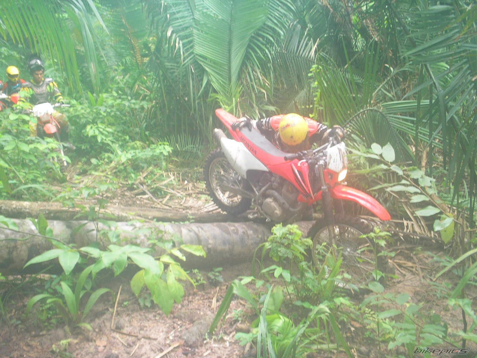 Photo 826939